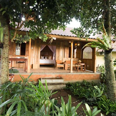 Umasari Rice Terrace Villa Selemadeg 外观 照片