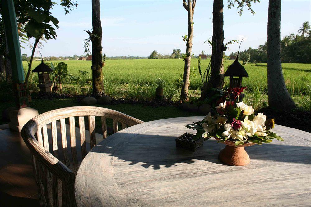 Umasari Rice Terrace Villa Selemadeg 外观 照片